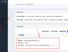平台对接地址-码支付官网
